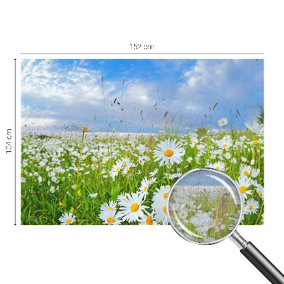 Peel and stick wallpaper mural with a summer meadow design
