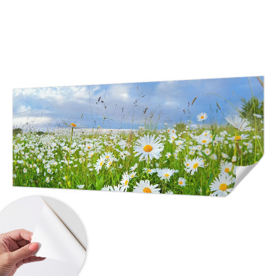 Peel and stick wallpaper mural with a summer meadow design