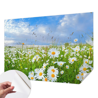 Peel and stick wallpaper mural Summer meadow