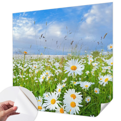 Peel and stick wallpaper mural Summer meadow