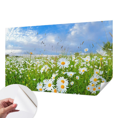 Peel and stick wallpaper mural Summer meadow