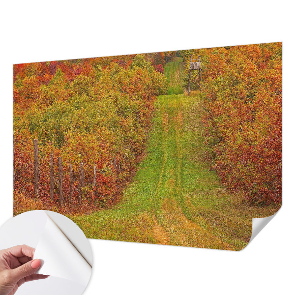 Removable wall mural with autumn colors motif