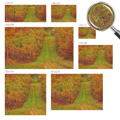 Removable wall mural with autumn colors motif