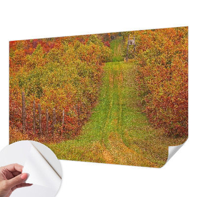 Removable wall mural with autumn colors motif