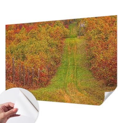 Removable wall mural with autumn colors motif