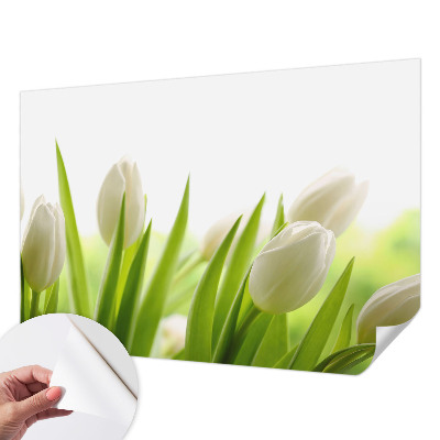 Removable wall mural featuring white tulips
