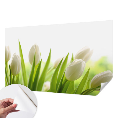 Removable wall mural featuring white tulips