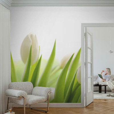 Removable wall mural featuring white tulips