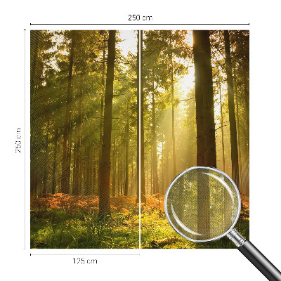 Removable wall mural wallpaper with a forest morning scene