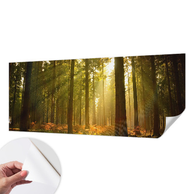 Removable wall mural wallpaper with a forest morning scene