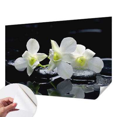 Peel and stick wall mural for kids' room with a flowers and stones design