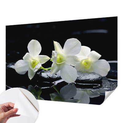 Peel and stick wall mural for kids' room with a flowers and stones design