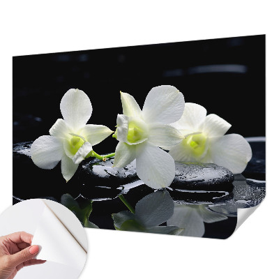 Peel and stick wall mural for kids' room with a flowers and stones design