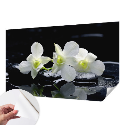 Peel and stick wall mural for kids' room with a flowers and stones design