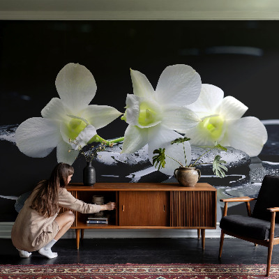 Peel and stick wall mural for kids' room with a flowers and stones design