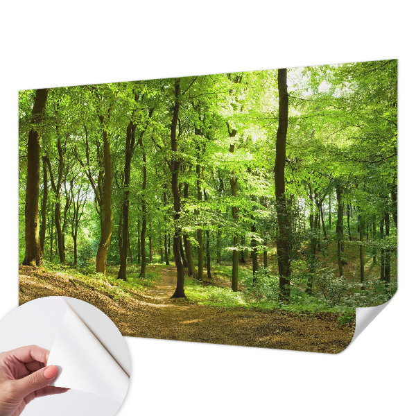 Peel and stick wallpaper mural Natural path