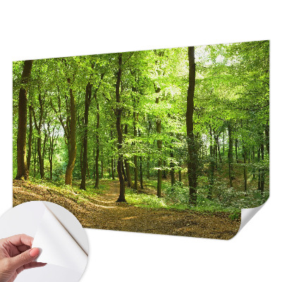 Peel and stick wallpaper mural Natural path