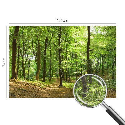 Peel and stick wallpaper mural Natural path