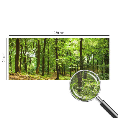 Peel and stick wallpaper mural Natural path