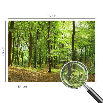 Peel and stick wallpaper mural Natural path