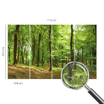 Peel and stick wallpaper mural with a natural path design
