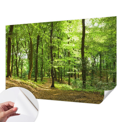 Peel and stick wallpaper mural Natural path