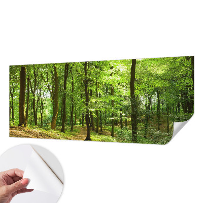 Peel and stick wallpaper mural Natural path