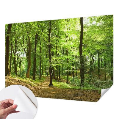 Peel and stick wallpaper mural Natural path