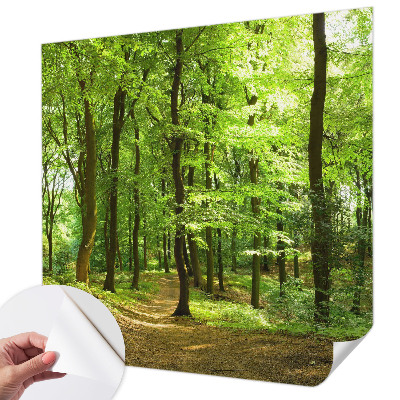 Peel and stick wallpaper mural with a natural path design