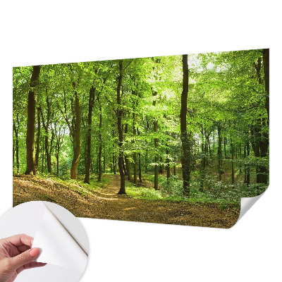 Peel and stick wallpaper mural Natural path