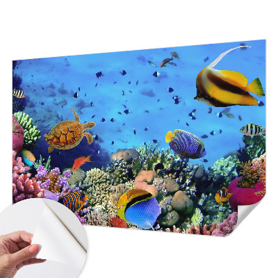 Self-adhesive wall mural with a coral reef design