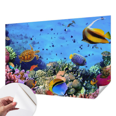 Self-adhesive wall mural with a coral reef design