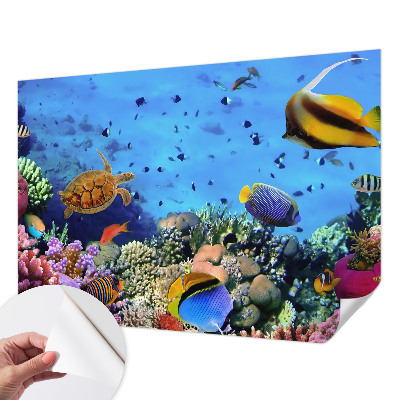 Self-adhesive wall mural with a coral reef design