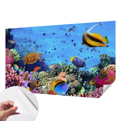 Self-adhesive wall mural with a coral reef design