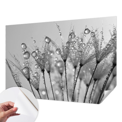 Stick-on wall mural with a wet delicacy design