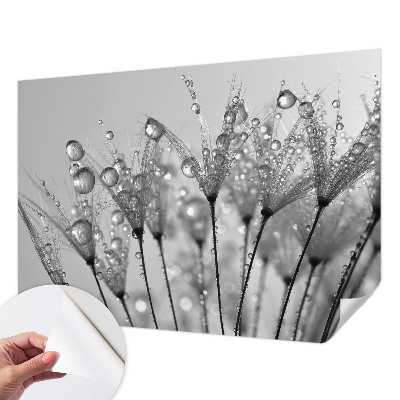 Stick-on wall mural with a wet delicacy design