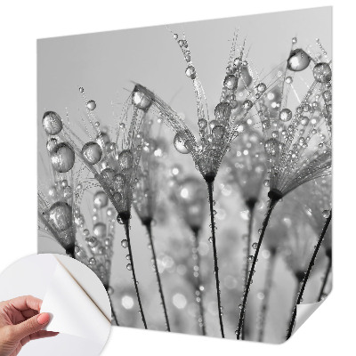 Stick-on wall mural with a wet delicacy design