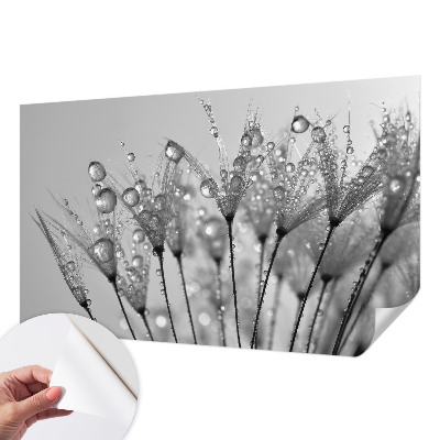Stick-on wall mural with a wet delicacy design