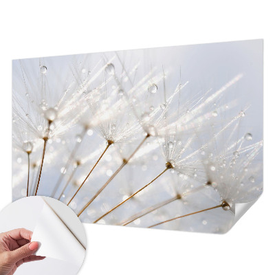 Removable wall mural with a rosy dandelion design