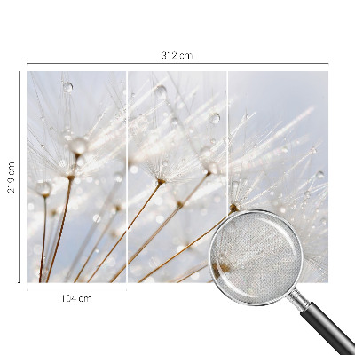 Removable wall mural with a rosy dandelion design