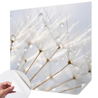 Removable wall mural with a rosy dandelion design
