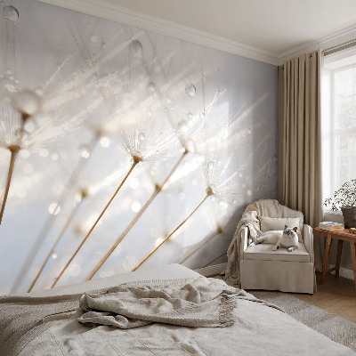 Removable wall mural Rosy dandelion