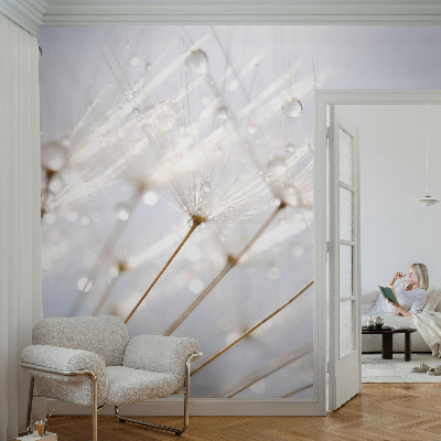 Removable wall mural with a rosy dandelion design