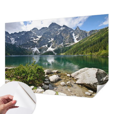 Peel and stick wall mural for kids' room with a mountain lake design