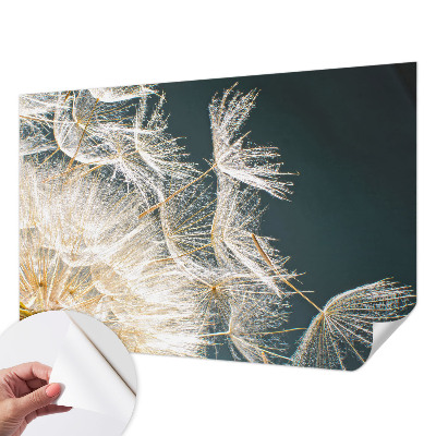 3D wall mural with a dandelion of lightness design