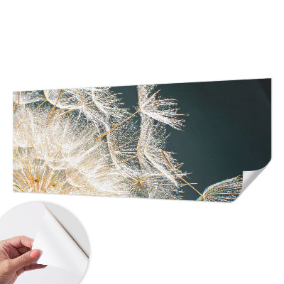 3D wall mural with a dandelion of lightness design