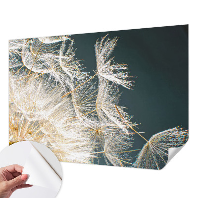3D wall mural with a dandelion of lightness design