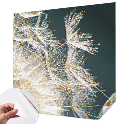 3D wall mural with a dandelion of lightness design