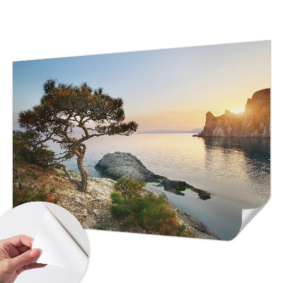 Peel and stick wall mural with a peaceful nature scene