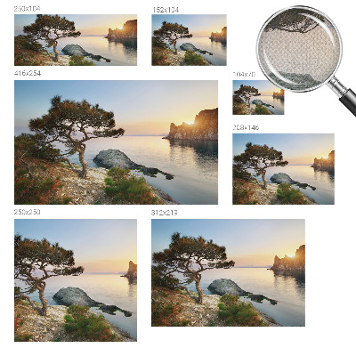 Peel and stick wall mural with a peaceful nature scene